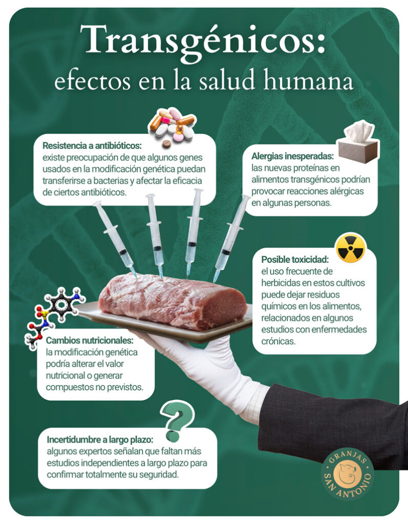 alimentos transgénicos